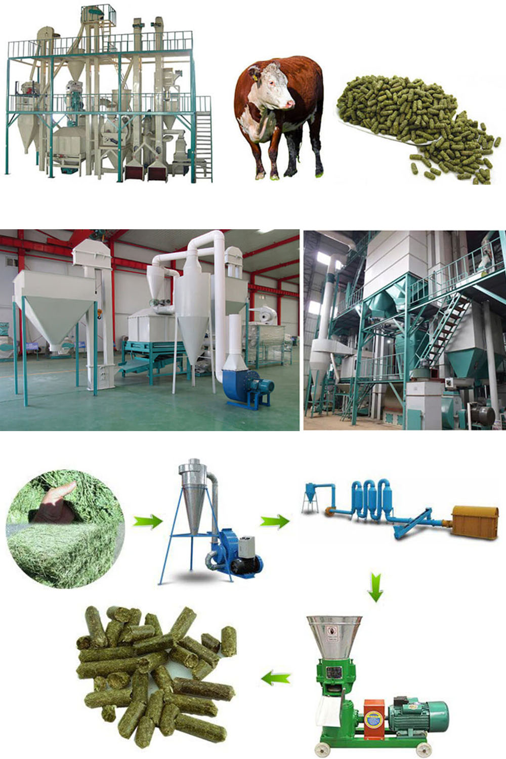 Ruminant Animal Feed Pellet Production Business Plan