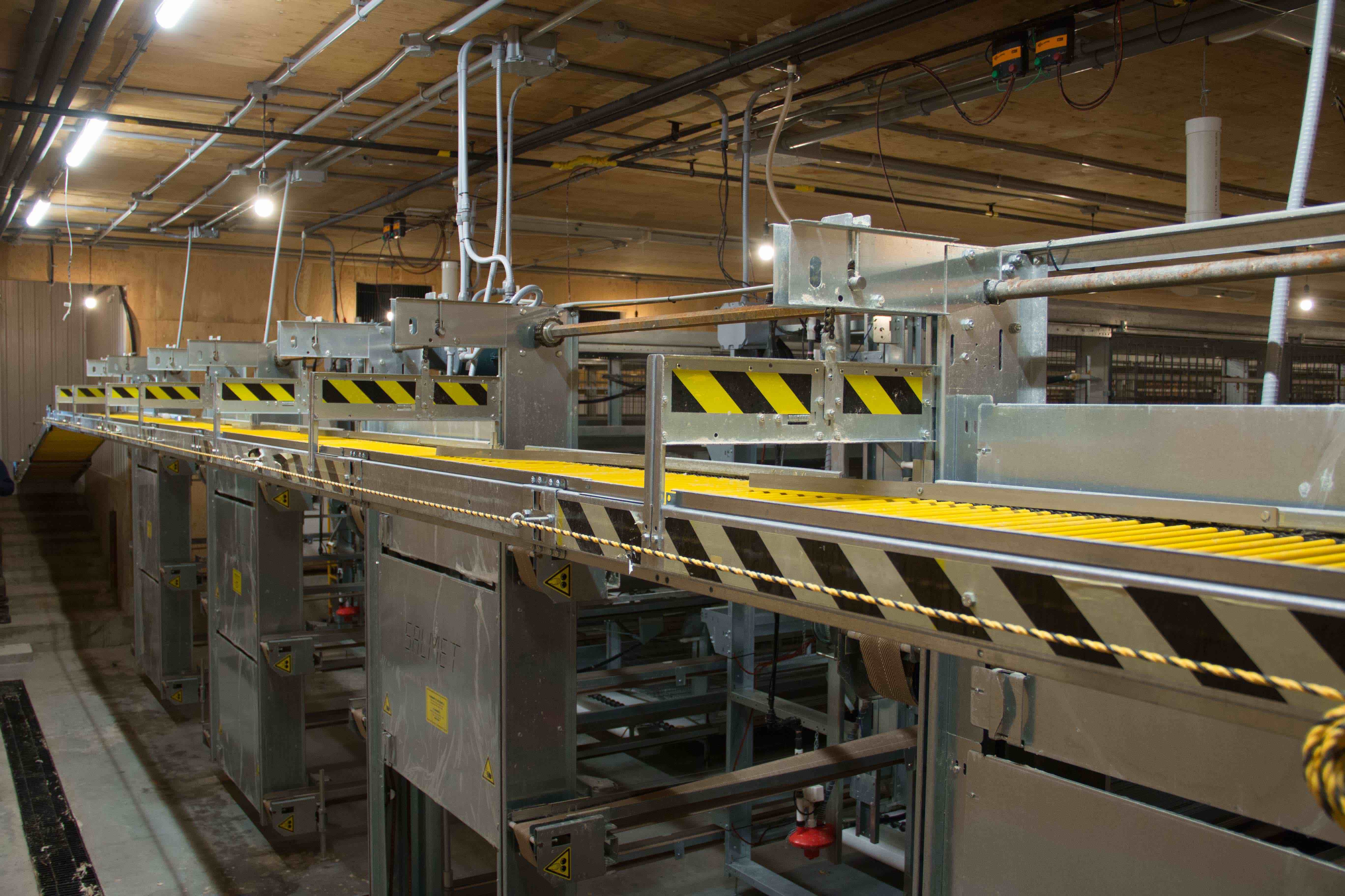 Poultry Egg Collection Poultry Egg Lift by B.H. Ruby