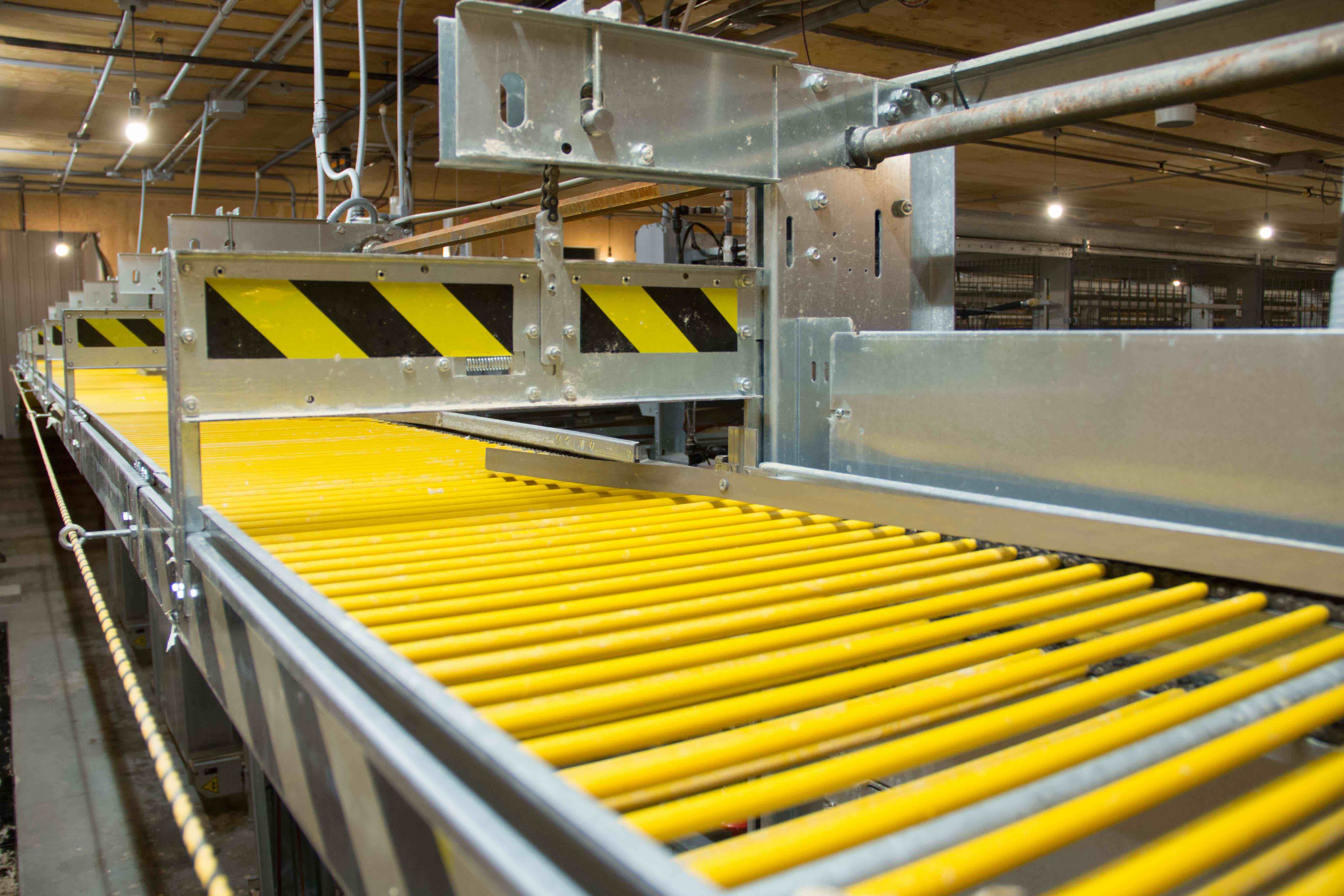 Poultry Egg Collection Poultry Egg Lift by B.H. Ruby