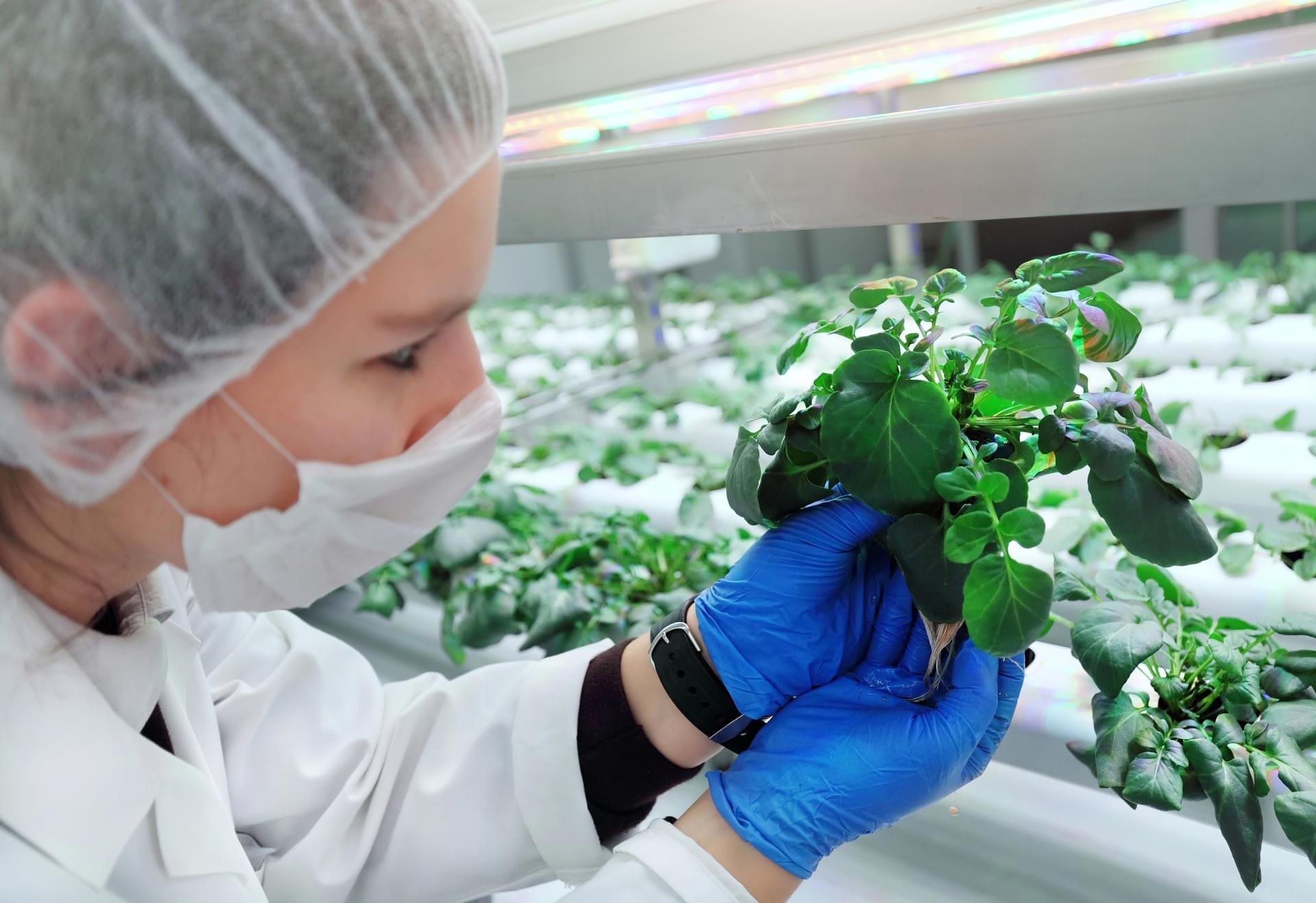 Aralab Bio Plant Research Indoor Vertical Farming Indoor Vertical Farming Controlled