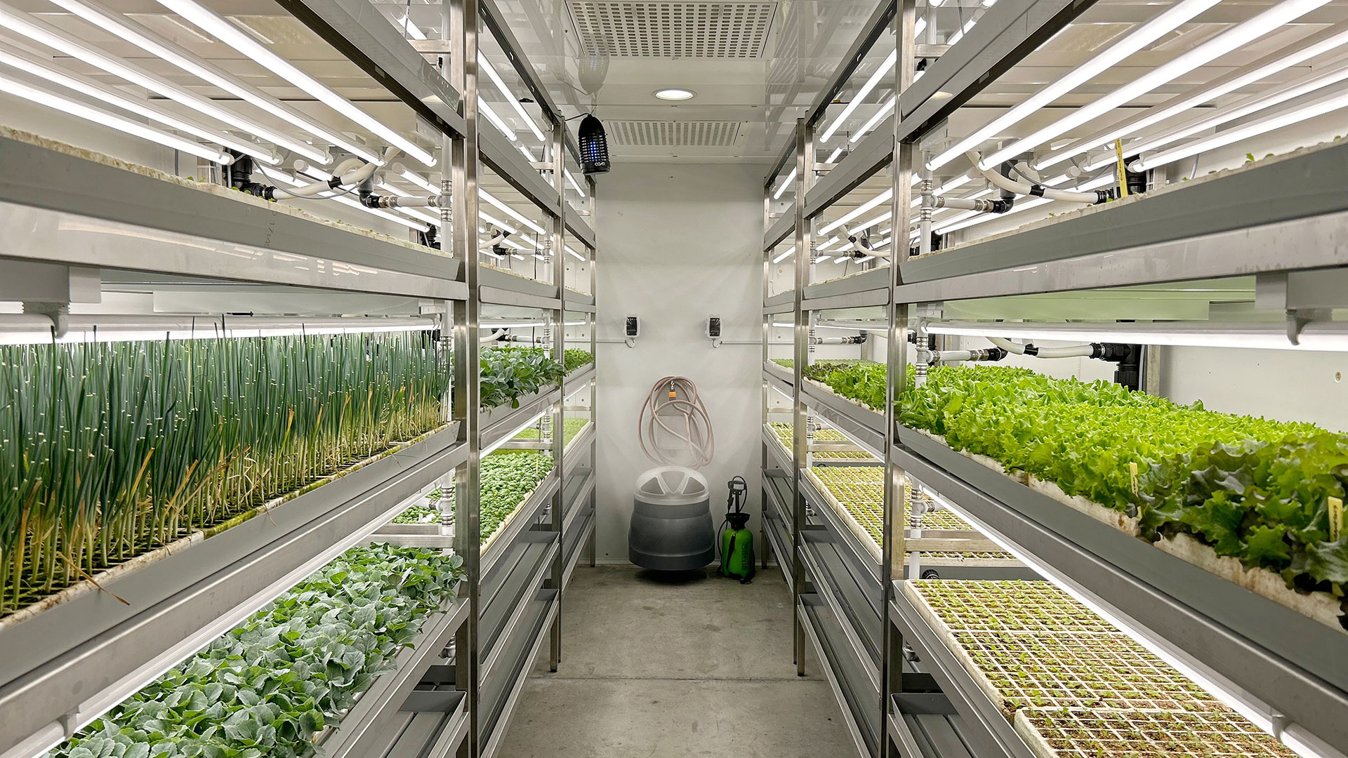 Aralab Bio Plant Research Indoor Vertical Farming Indoor Vertical Farming Controlled