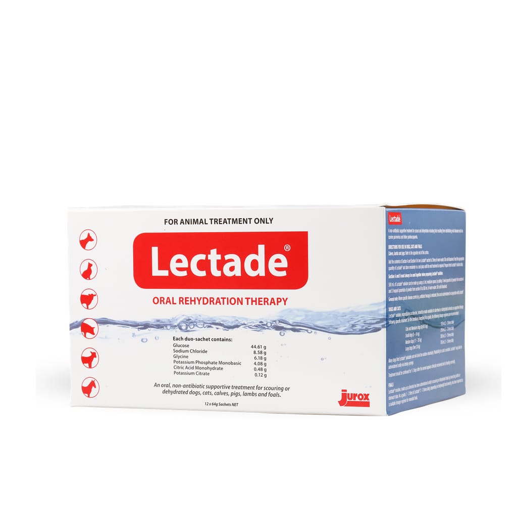 Lectade Dog Range Nutrition And Supplements Oral Rehydration