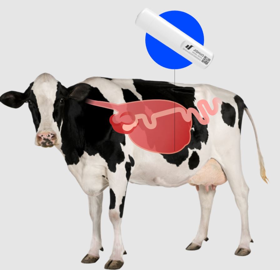 Smart Rumen Bolus For Cow Monitoring