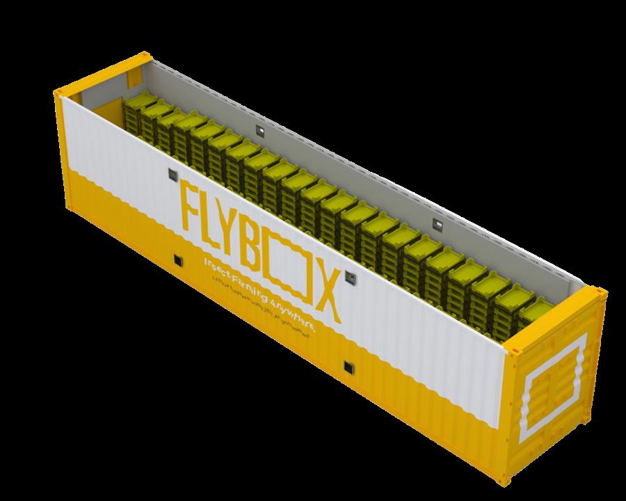 Flybox HATCH Flybox Modular Insect Farm Black Soldier