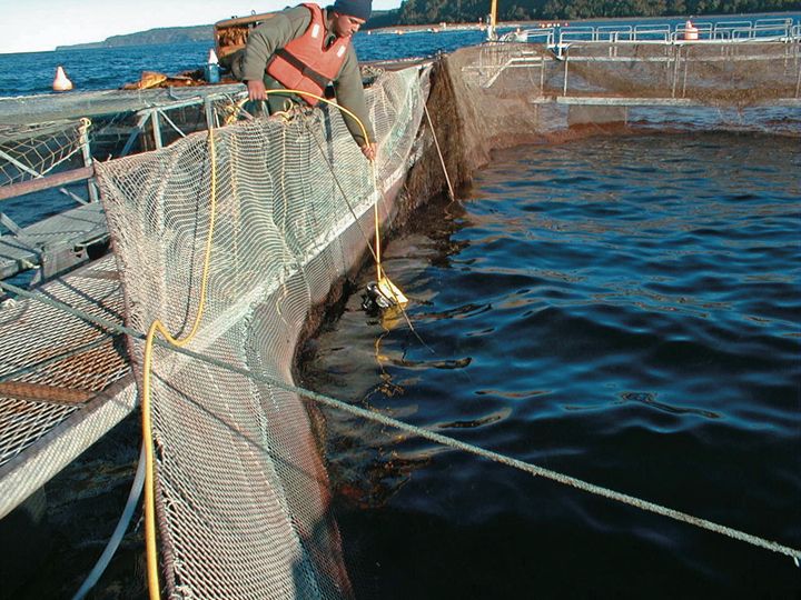 Underwater remotely operated vehicles solutions for