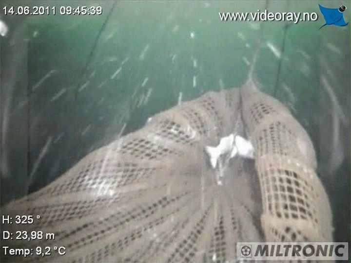 Underwater remotely operated vehicles solutions for