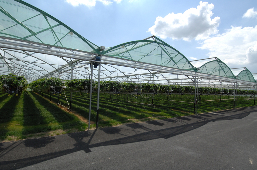 Tube 7.20 Greenhouses Fix Ventilation Greenhouse by