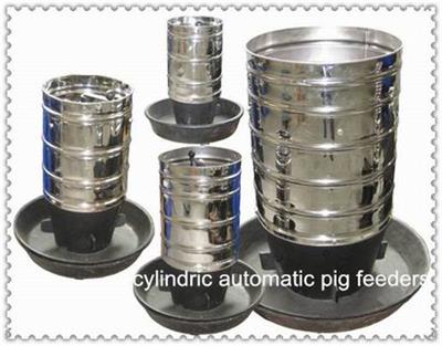 automatic pig feeder