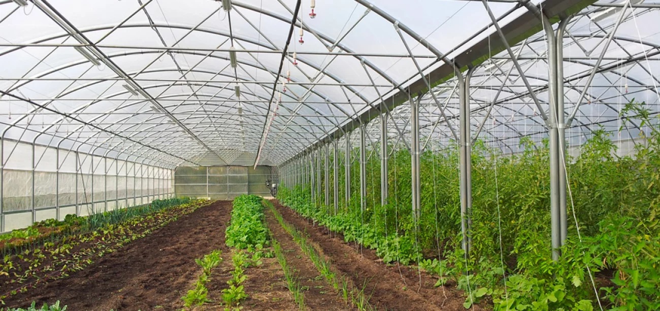 Agrimec NM Greenhouses Professional Greenhouses NM