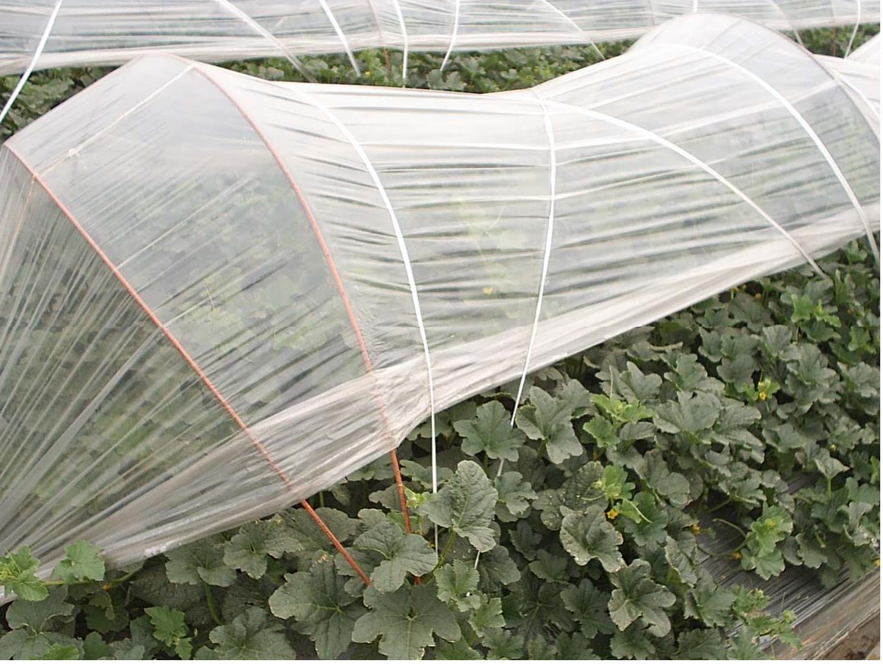 Dear Deer EJ201 Greenhouse Components, EJ Series, Greenhouse