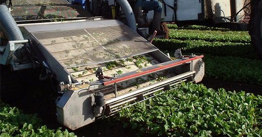 Morrish - Harvesters - Baby Leaf Harvesters by Morrish ...