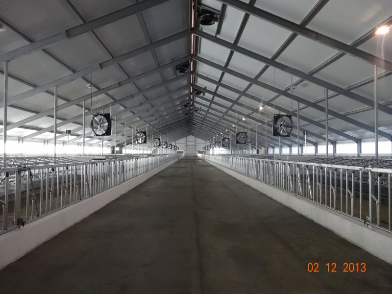 Dairy Farms Stable Equipment by Van der Ploeg International BV