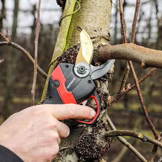 INFACO F3020 Electric Pruning Shear By Infaco S.A.S