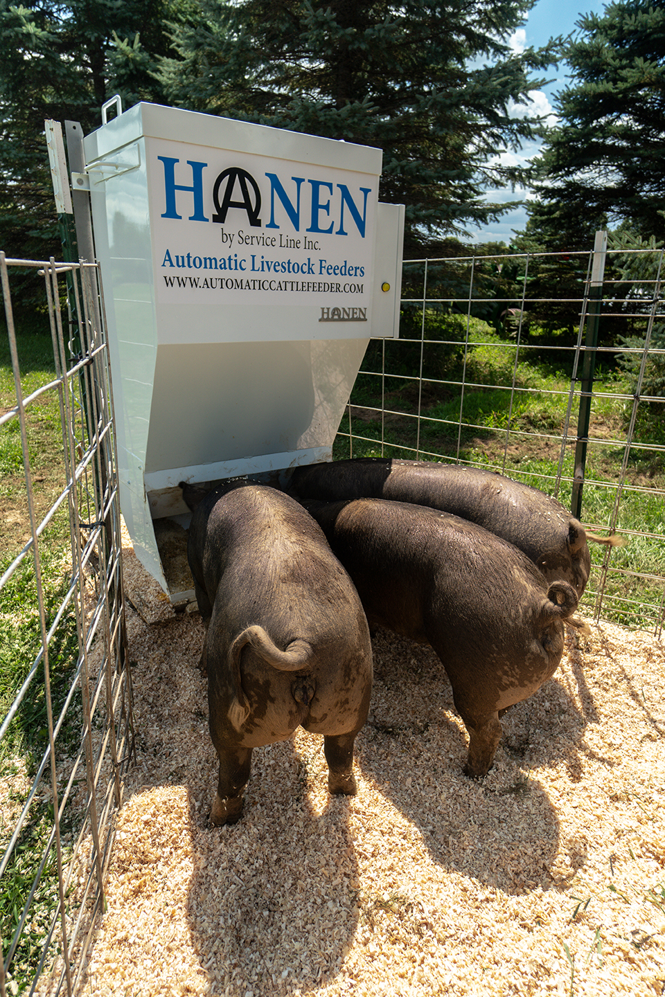 Hanen LSF2 Automatic Cattle And Livestock Feeder By
