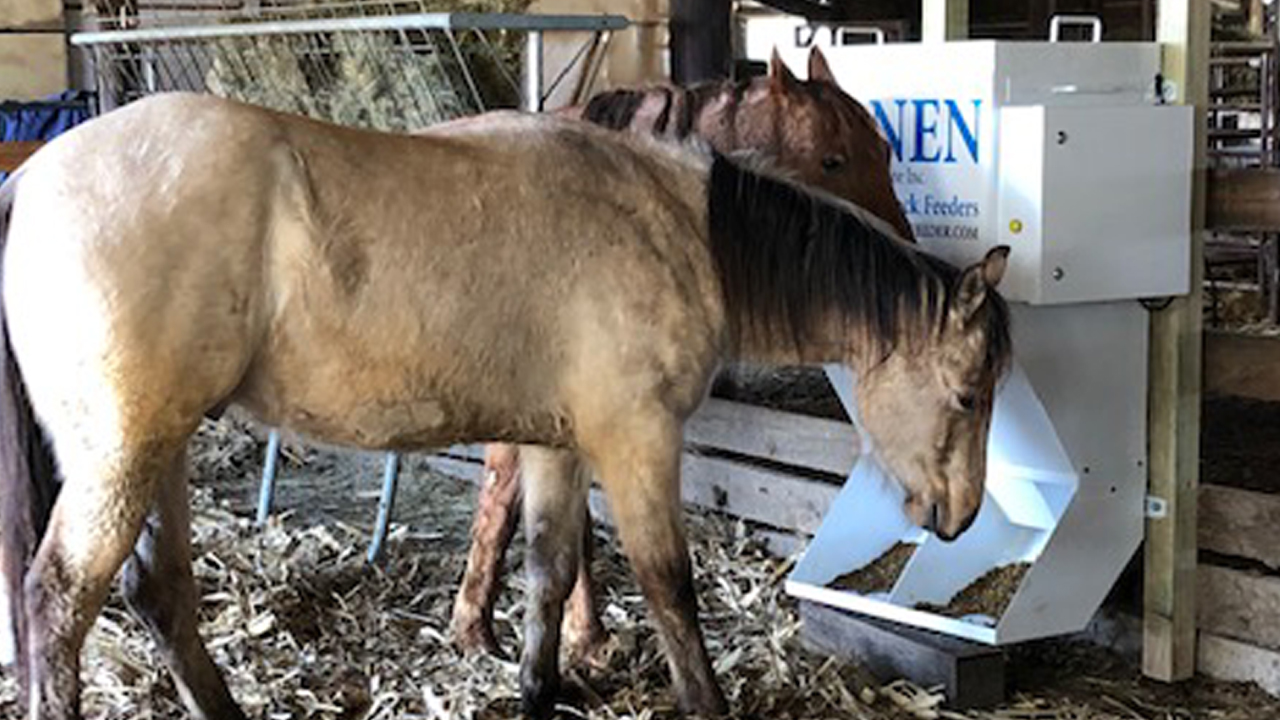 Hanen LSF2 Automatic Cattle And Livestock Feeder